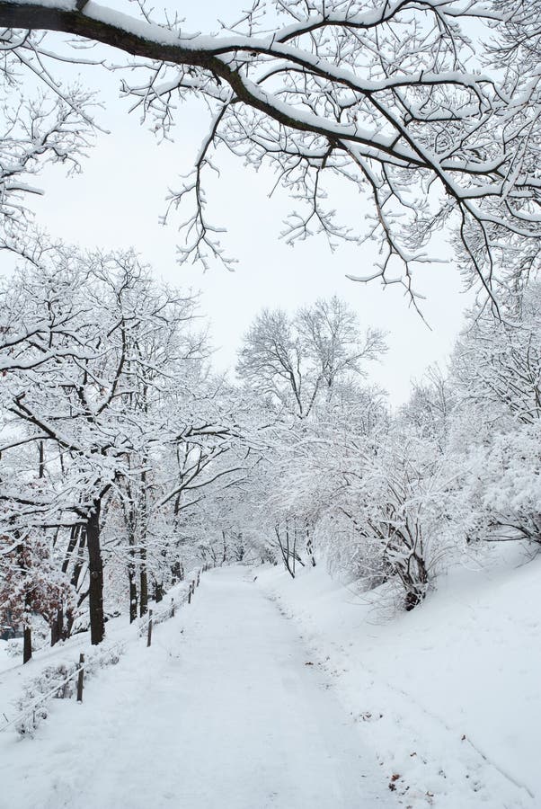 City park path covered by heavy snow