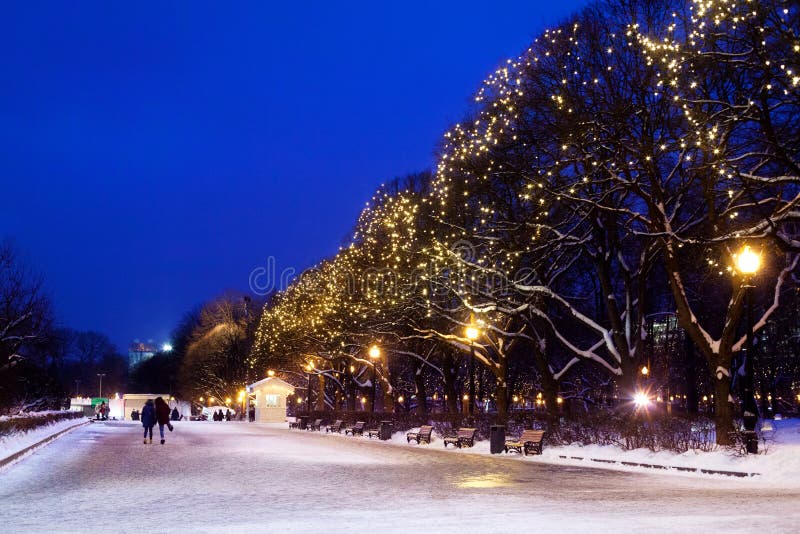 City park on winter season, festive christmas garlands lights on trees, walking people, beautiful romantic snowy night street stock photos City park on winter season, festive christmas garlands lights on trees, walking people, beautiful romantic snowy night street stock photos