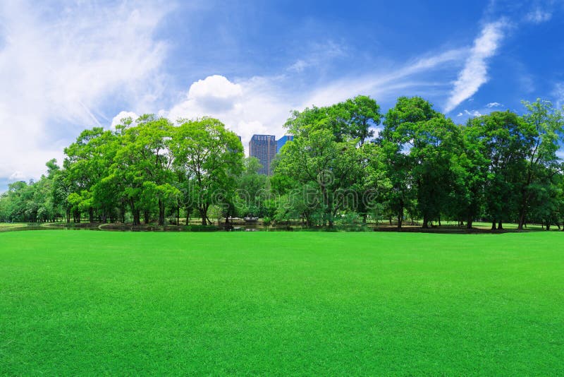 In city parks, lawns