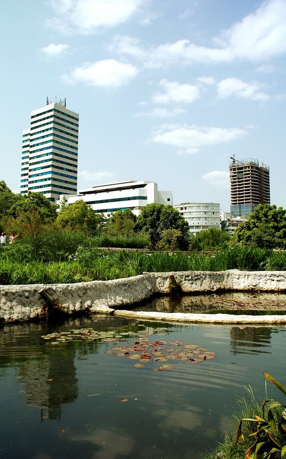 City pond and park