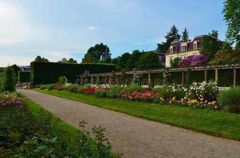 City Rose Garden in BadenBaden in Germany Stock Photo Image of rose