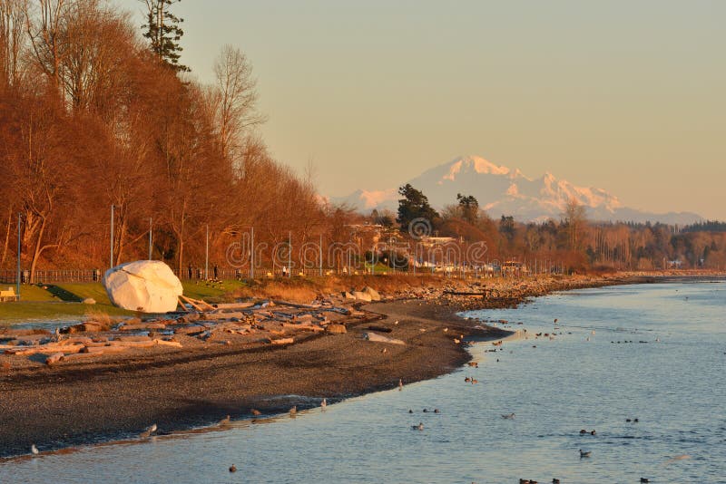City of White Rock and Mt. Baker Stock Photo Image of beach, sunset