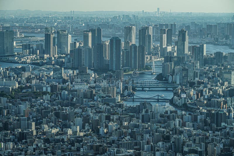 A city of Yokohama that can be seen through the city of Tokyo. Shooting Location:Sumida -ku, Tokyo