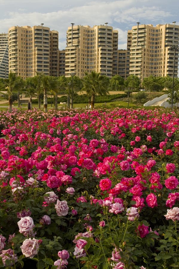 Citypark with skyscrapers