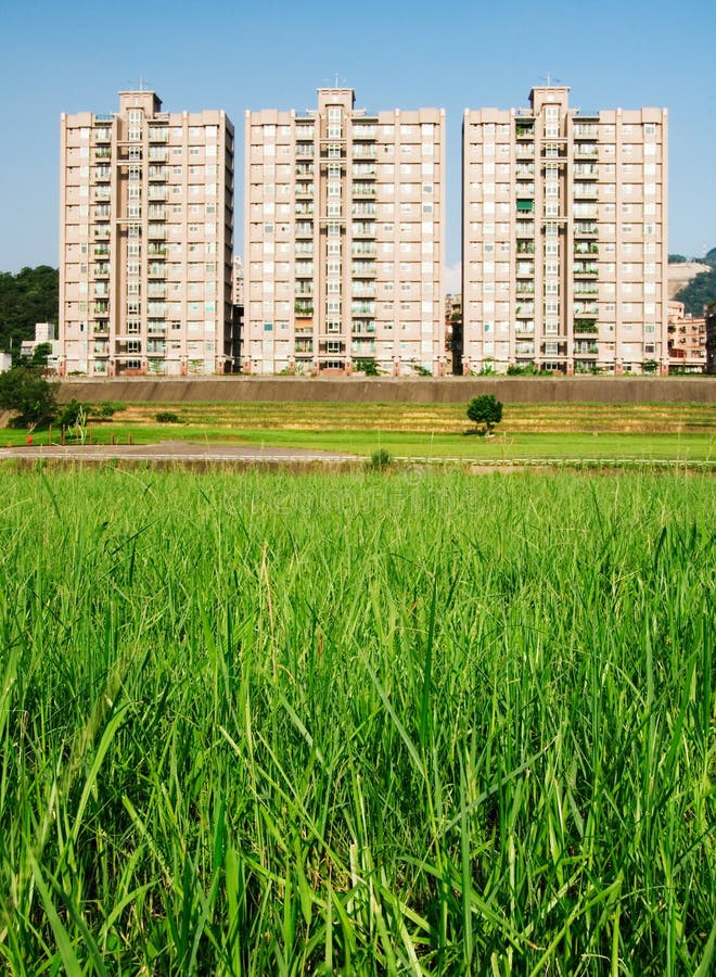 Cityscape of Apartments with Grassland Stock Photo Image of beautiful