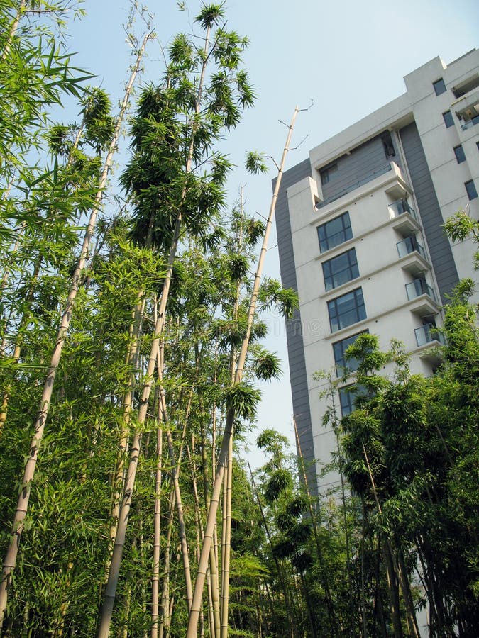 Cityscape and green environment