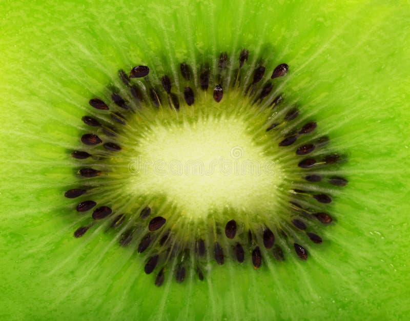 Ciérrese encima de Kiwi Texture, Kiwi Fruit con la lente macra Centro de Tra foto de archivo libre de regalías Ciérrese encima de Kiwi Texture, Kiwi Fruit con la lente macra Centro de Tra foto de archivo libre de regalías