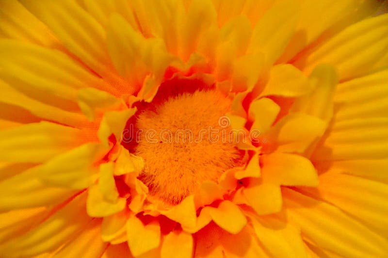 Ciérrese encima de las flores falsas imagen de archivo libre de regalías