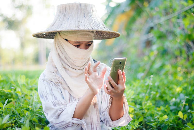 Ciérrese encima del granjero del tiro que usa smartphone móvil en la granja de la naturaleza imagen de archivo libre de regalías Ciérrese encima del granjero del tiro que usa smartphone móvil en la granja de la naturaleza imagen de archivo libre de regalías
