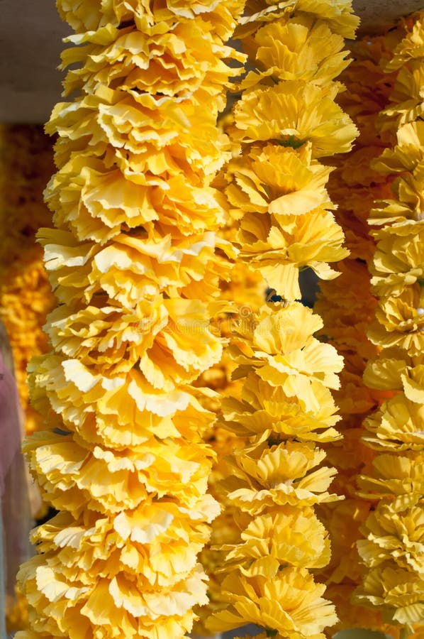 Ciérrese para arriba de la flor amarilla falsa foto de archivo libre de regalías