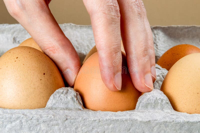 Ciérrese para arriba de la mano femenina que toma un huevo de gallina de un cartón de huevos de la cartulina imagenes de archivo Ciérrese para arriba de la mano femenina que toma un huevo de gallina de un cartón de huevos de la cartulina imagenes de archivo