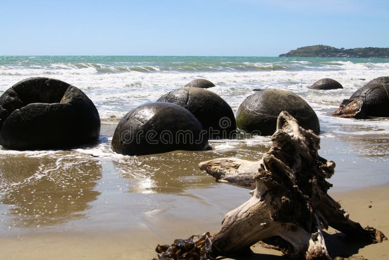 Ciérrese para arriba de los cantos rodados esféricos de Moeraki de la lutolita en la playa lavada por la resaca del mar, playa de fotografía de archivo libre de regalías Ciérrese para arriba de los cantos rodados esféricos de Moeraki de la lutolita en la playa lavada por la resaca del mar, playa de fotografía de archivo libre de regalías