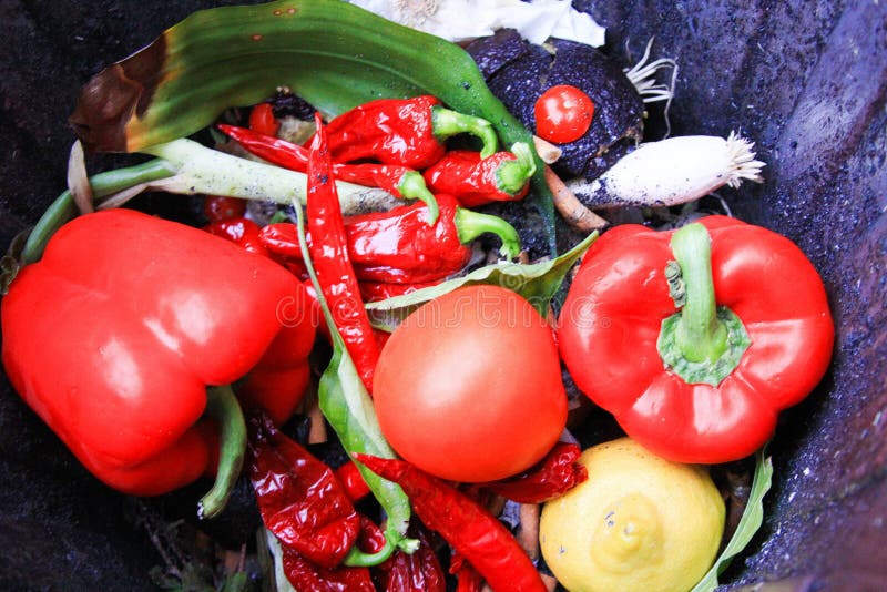 Ciérrese para arriba del paprika vegetal rojo fresco, tomate, chilis en el cubo de la basura foto de archivo libre de regalías Ciérrese para arriba del paprika vegetal rojo fresco, tomate, chilis en el cubo de la basura foto de archivo libre de regalías