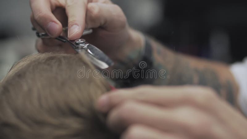 Ciérrese para arriba del pelo de los cortes del peluquero en barbería El peluquero corta el pelo con las tijeras