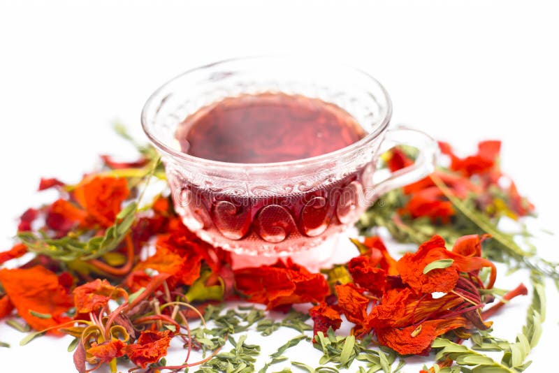 Ciérrese para arriba del té coloreado anaranjado o rojo las flores del árbol de Gular o de llama aisladas en blanco foto de archivo libre de regalías Ciérrese para arriba del té coloreado anaranjado o rojo las flores del árbol de Gular o de llama aisladas en blanco foto de archivo libre de regalías