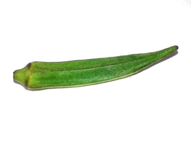 Ciò è il diplomatico di verde di immagine con fondo bianco immagine stock libera da diritti Ciò è il diplomatico di verde di immagine con fondo bianco immagine stock libera da diritti