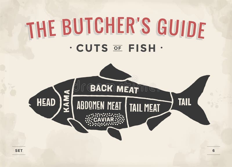 Cięcie mięso set Plakatowy masarka diagram i plan - ryba Rocznika typograficzny pociągany ręcznie