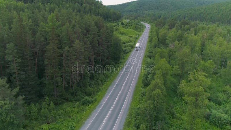 Ciężarówka jeździ autostradą na tle lasu latem. scena. transport ładunków długodystansowych. ciężarówka