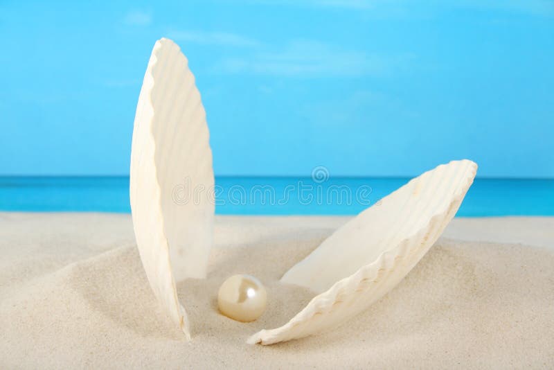 Aperto clam shell che contiene una perla vicino la spiaggia.