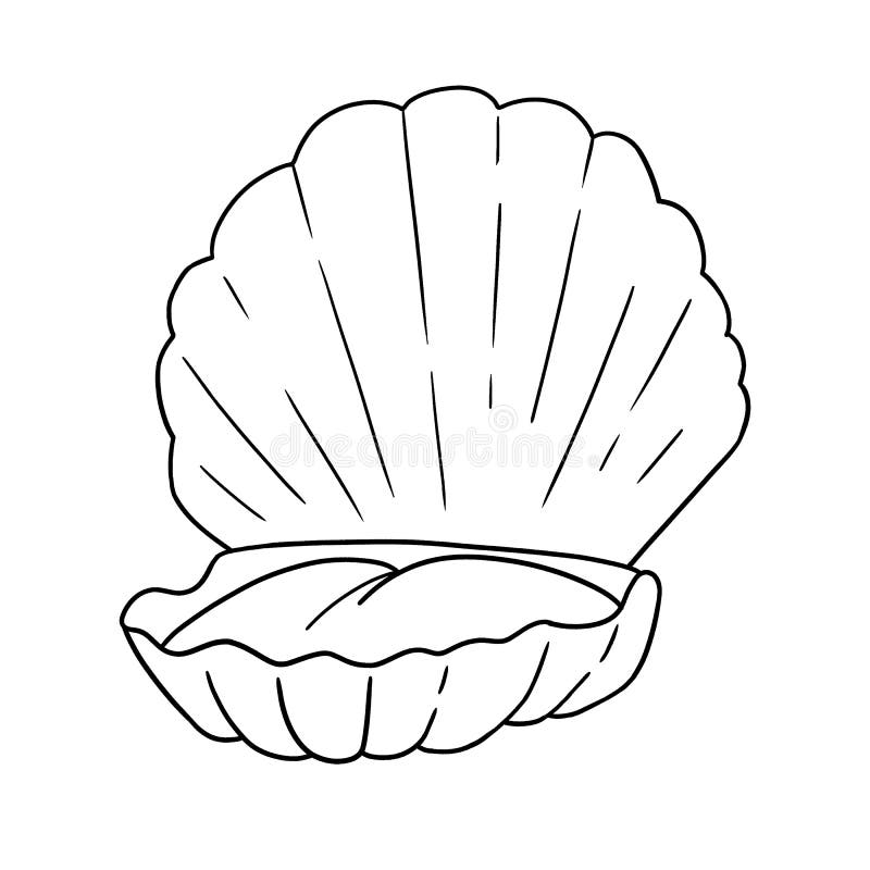 Clamp Shell Stock Illustrations – 39 Clamp Shell Stock Illustrations ...