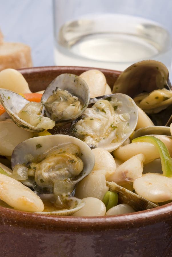 Clams. stock image. Image of studio, gastronomy, meal 12320933