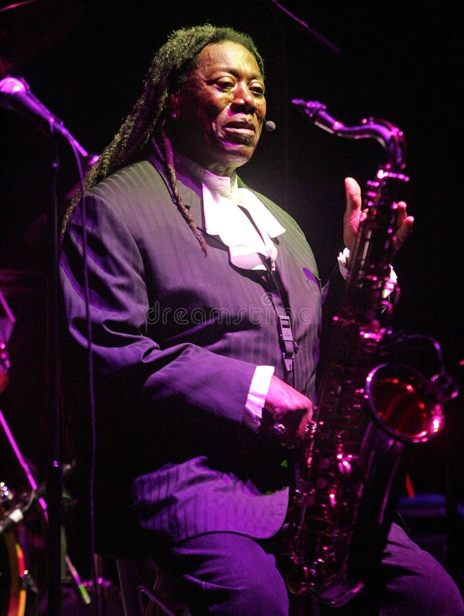 Clarence Clemons Executa No Concerto Imagem Editorial Imagem de hotel