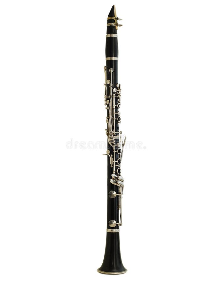 Bass on White Background Stock Photo Image of woodwind