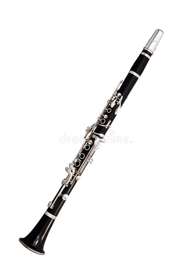 Bass on White Background Stock Photo Image of woodwind