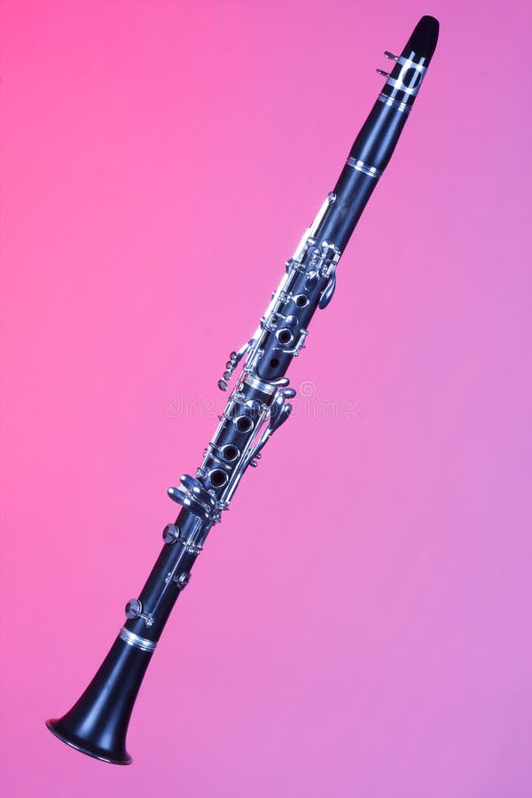 Soprano Isolated on Pink Stock Photo Image of woodwind