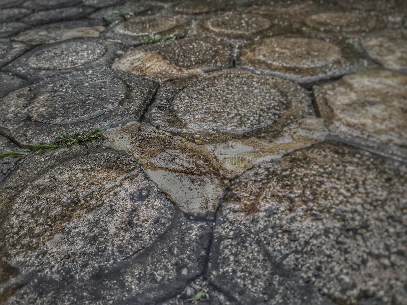 Clarity of rain upon stone stock photo. Image of drawn 252492502