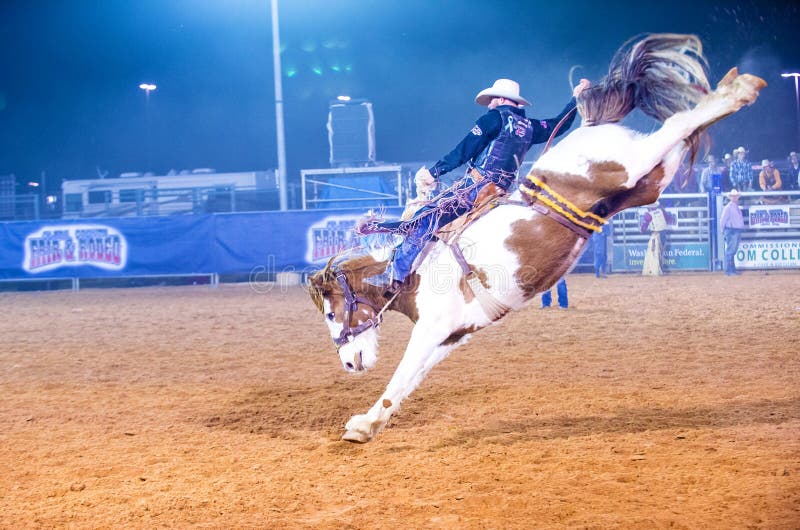 Clark County Fair e rodeo fotografia editoriale. Immagine di cavallo