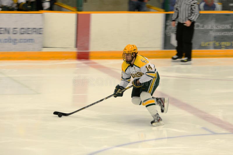 Clarkson 14 in NCAA Hockey Game Editorial Stock Image Image of goal