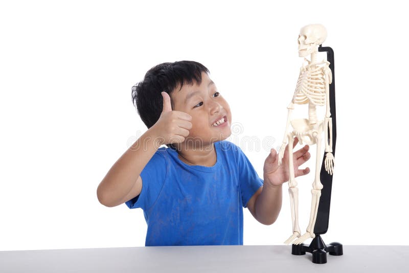 Class of human anatomy stock image. Image of clever, people Biology Diagrams