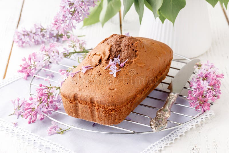 Classic Chocolate Cake for Breakfast on Table Stock Image Image of