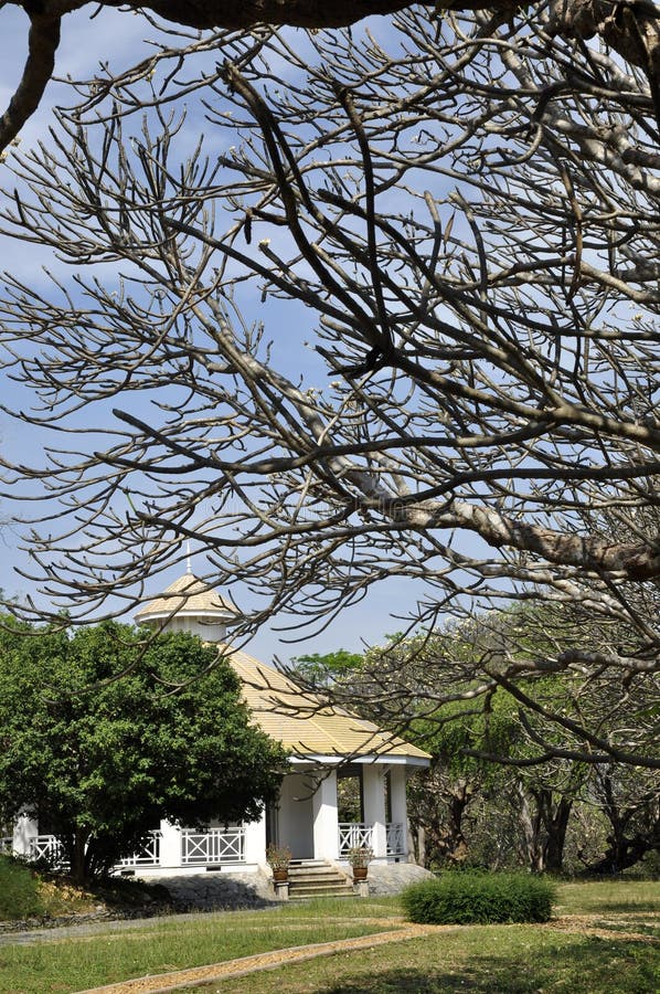 Classic House Vintage Outdoor White Cement