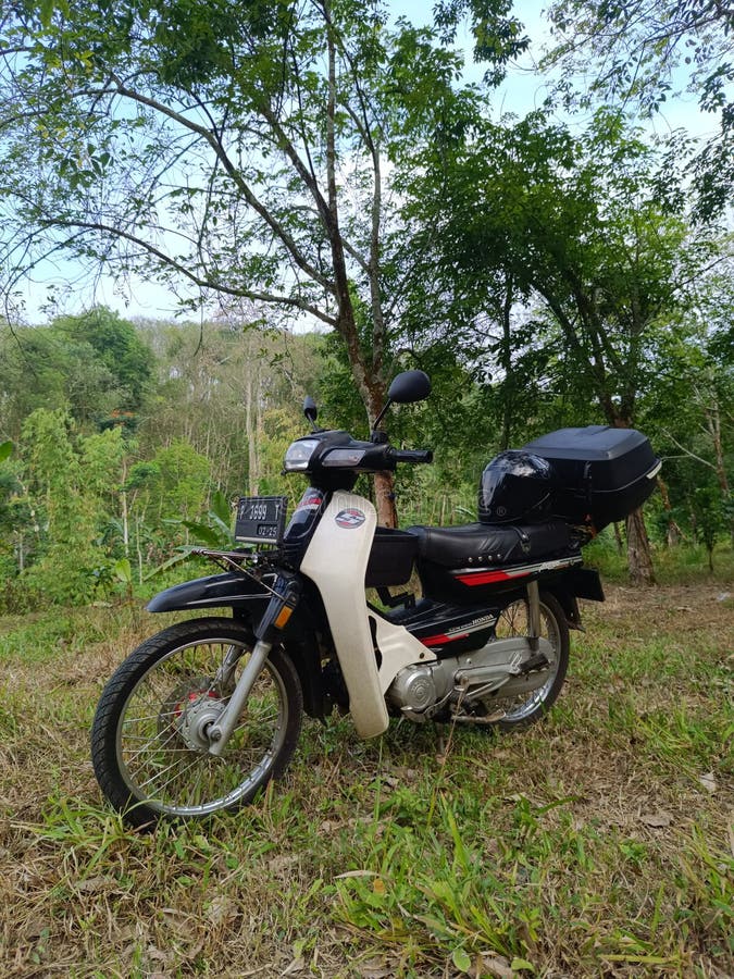 A classic motorcycle in the middle of the forest. stock images