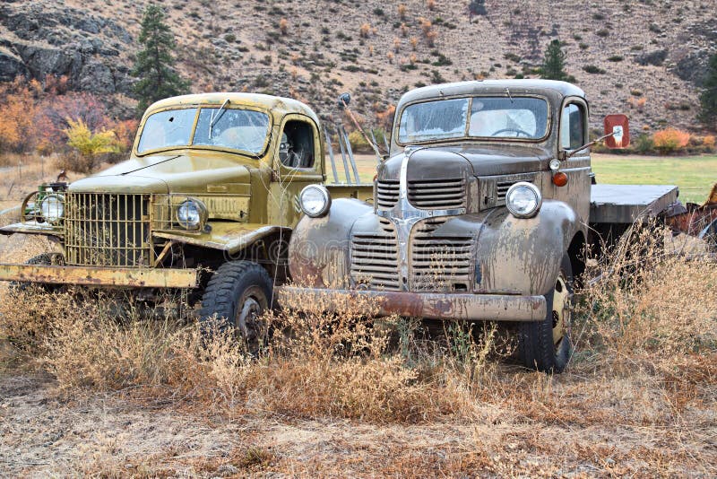 Classic Old Pickup Trucks stock photo. Image of grass - 27428292