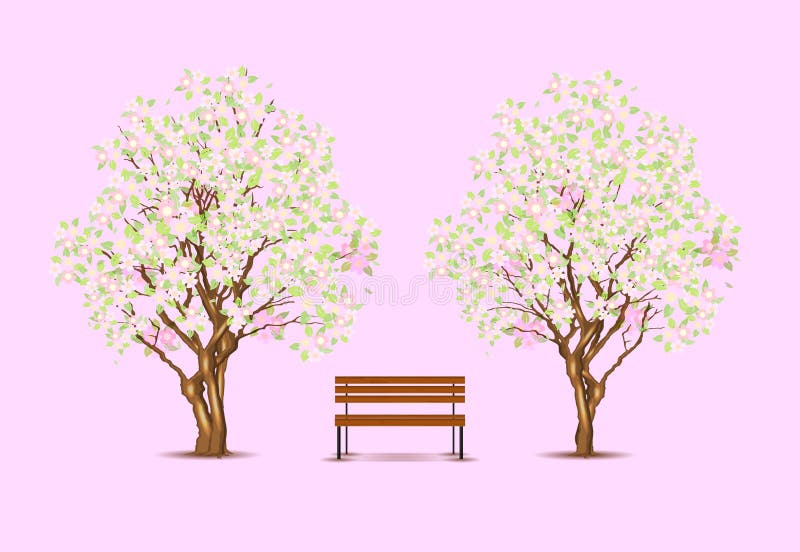 Classic park scene, vector trees and bench