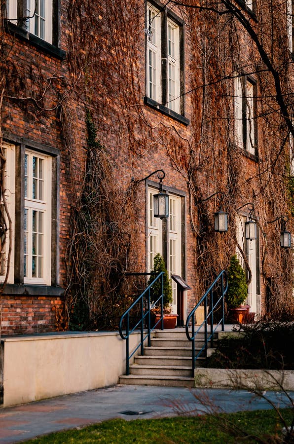 Red brick house with a porch entwined with dry vines stock images Red brick house with a porch entwined with dry vines stock images
