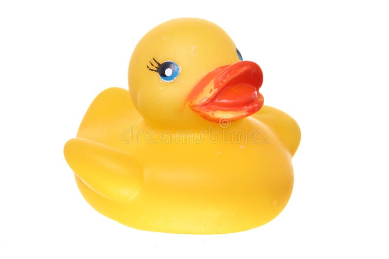 Classic rubber ducky on white ground royalty free stock photos