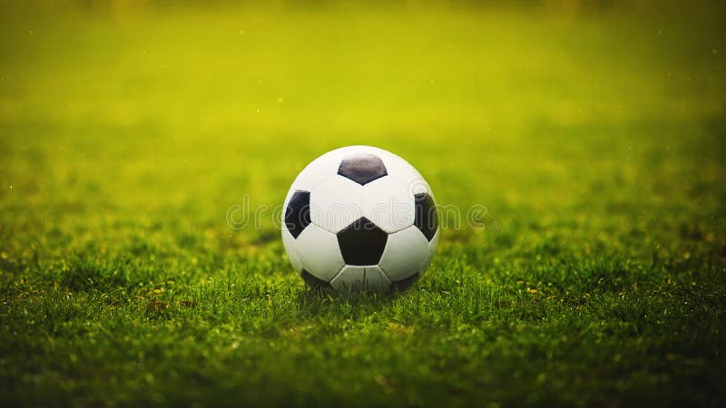 Classic soccer ball, typical black and white hexagon pattern, placed on the green grass stadium turf. Traditional football playing