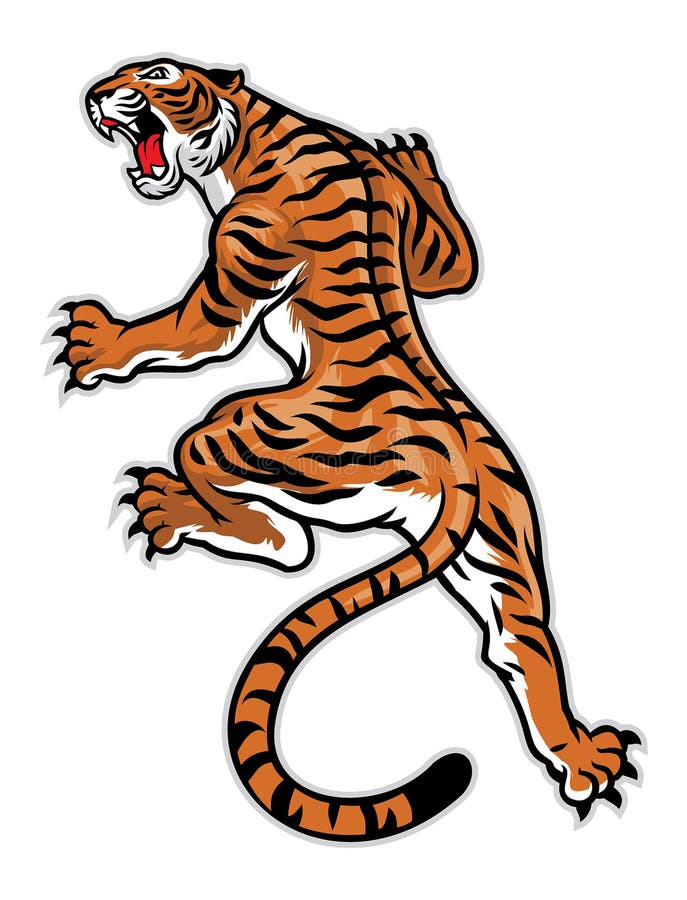 Classic Tattoo Pose of Tiger Stock Vector - Illustration of drawing, wildlife: 53059177 Classic Tattoo Pose of Tiger Stock Vector - Illustration of drawing, wildlife: 53059177