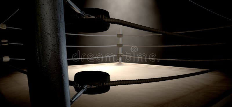Dimly Spotlit Corner Boxing Ring Surrounded Stock Illustration 2317284955 |  Shutterstock