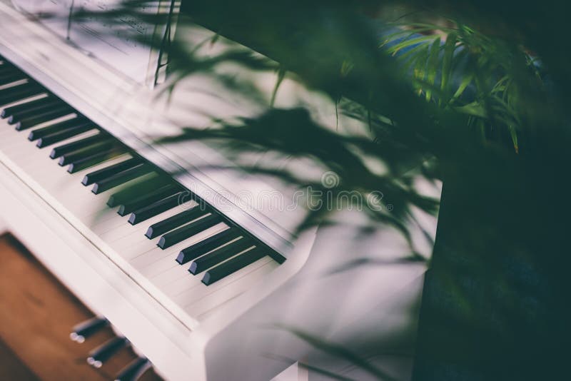 Classic White Piano Keyboard Stock Image - Image of classical