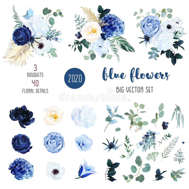 Classica rosa bianca, blu, idranea bianca, ranunculus illustrazione di stock