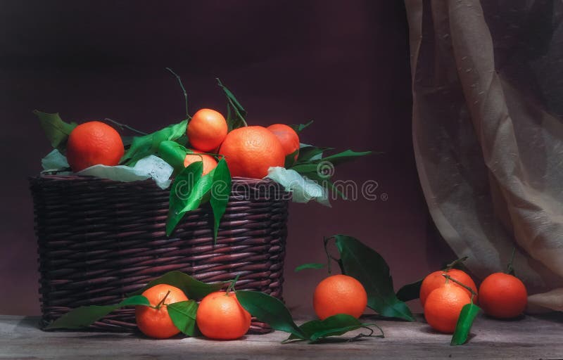 Classica Vita fissa con mandarini con foglie in cesto e avvitamento immagini stock libere da diritti