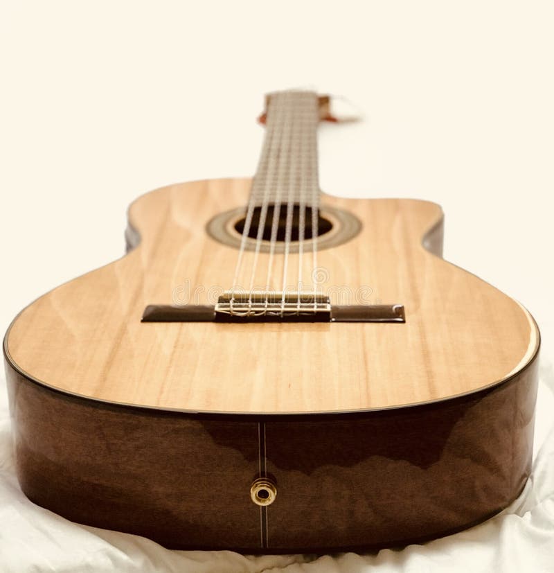 Cutaway Classical Acoustic Guitar//whole Body/Isol Stock Image Image