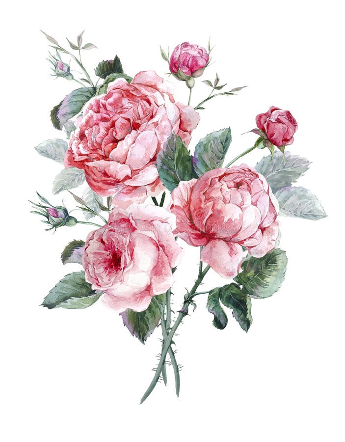 Classical Vintage Floral Greeting Card, Watercolor Stock Illustration ...