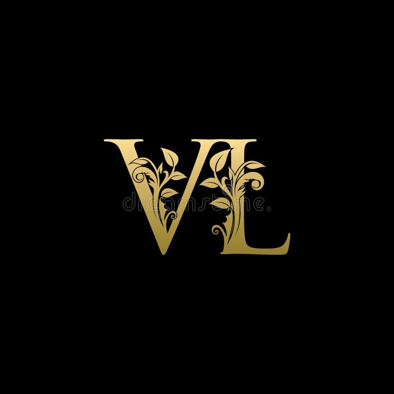 Vl initial letter gold calligraphic feminine Vector Image