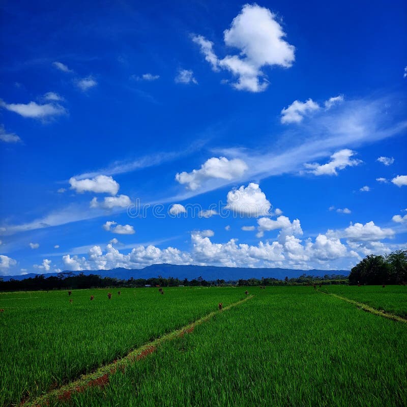 220 Claudy Stock Photos Free & RoyaltyFree Stock Photos from Dreamstime